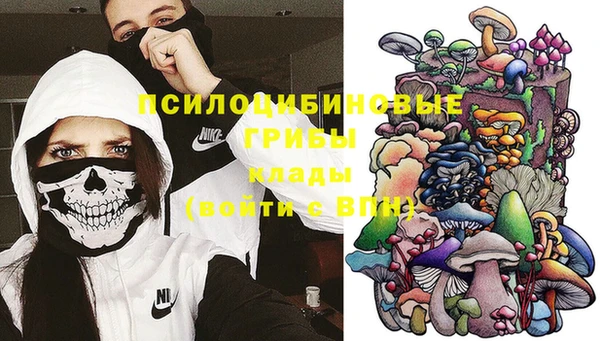 хмурый Абинск
