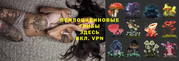 мяу мяу мука Абдулино