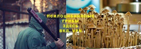 хмурый Абинск