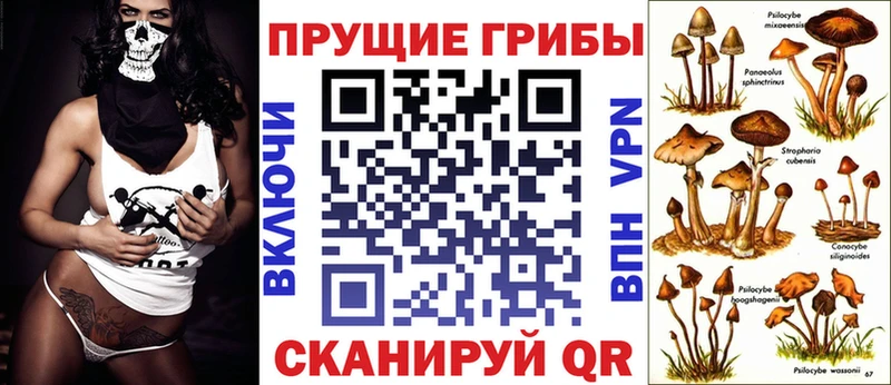 Галлюциногенные грибы GOLDEN TEACHER  Абинск 